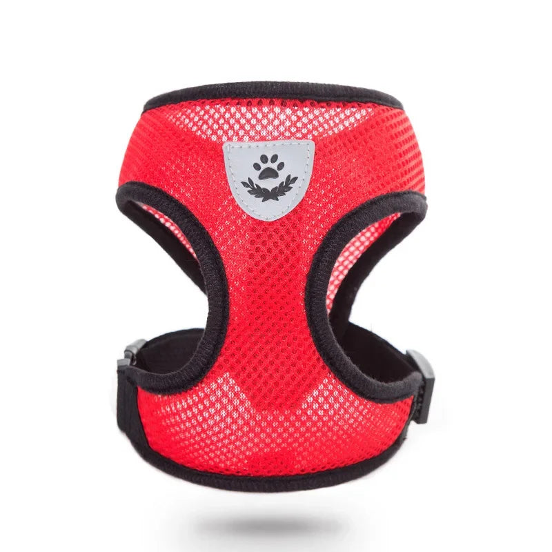 48915706249490|48915706282258|48915706315026