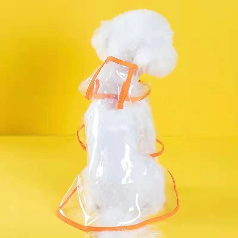 48916266909970|48916266942738|48916266975506|48916267008274|48916267041042|48916267073810