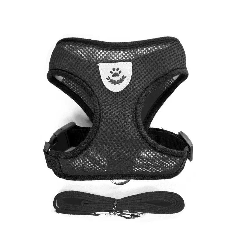 48915706052882|48915706085650|48915706347794