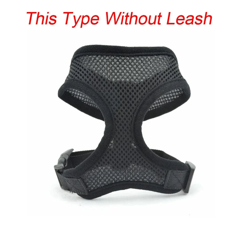 48915705757970|48915705790738|48915705823506